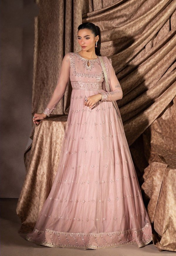 Elegant Luxury Work Unstitched Wedding Partywear Dress Nikha Walima Engagement Mehndi Mayon Frock Dress