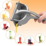 Manual Fruit Juicer, Heavy Duty Stainless Steel Press Juicer
