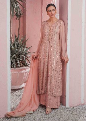 Elegant Luxury Work Unstitched Wedding Partywear Dress Nikha Walima Engagement Mehndi Mayon Dress