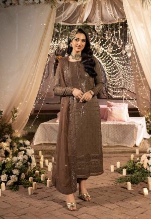 Elegant Luxury Work Unstitched Wedding Partywear Brown Dress Nikha Walima Engagement Mehndi Mayon Dress