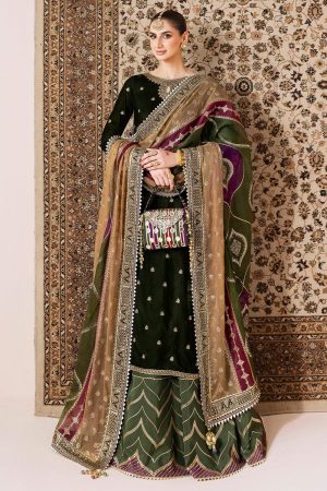 Velvet Elegant Luxury Work Unstitched Wedding Partywear Maroon Winter  Dress Nikha Walima Engagement Mehndi Mayon Dress