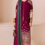 Velvet Elegant Luxury Work Unstitched Wedding Partywear  Winter Red Dress Nikha Walima Engagement Mehndi Mayon Dress