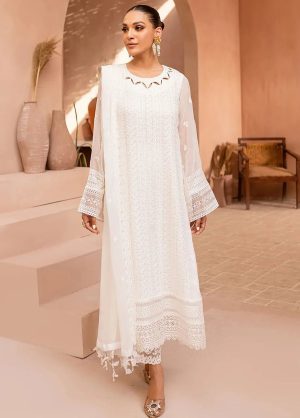 Elegant Luxury Work Unstitched Wedding Partywear white Dress Nikha Walima Engagement Mehndi Mayon Dress