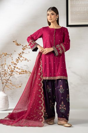 Elegant Luxury Work Unstitched Wedding Partywear Dress Nikha Walima Engagement Mehndi Mayon Dress